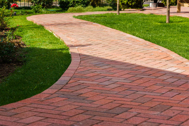 Best Driveway Paving Near Me  in Abbotsford, WI